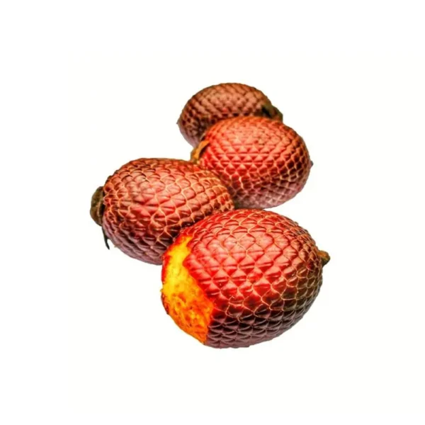Aguaje x quintal